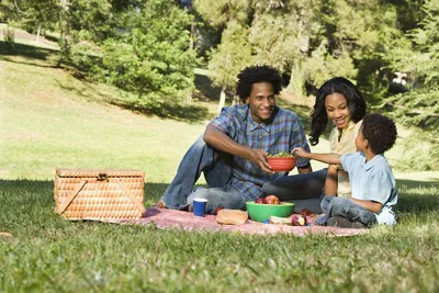 5 Ideas For A Picnic In Central Park