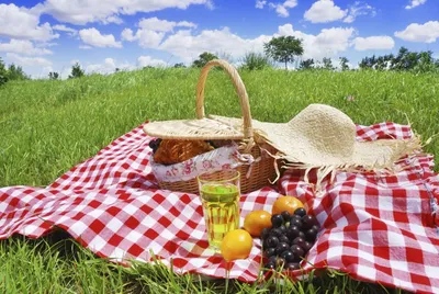 The Ultimate Picnic Guide - Sanctuary Home Decor