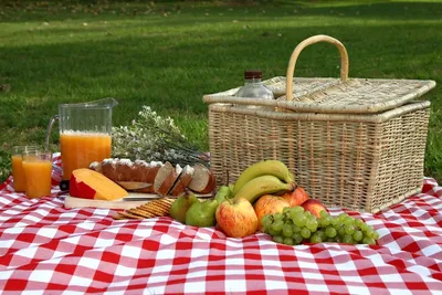 Your Guide to Planning a Picnic, From Packing to Choosing the Perfect  Location