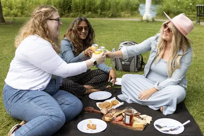 Best Places to Have a Picnic in San Francisco | San Francisco Travel