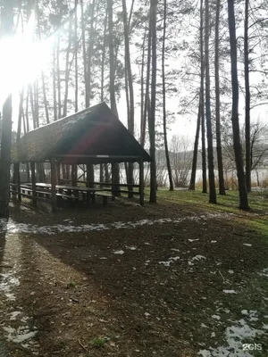 Отзыв о Пикник Парк (Россия, Белгород) | Хорошо, что есть где прогуляться  на свежем воздухе