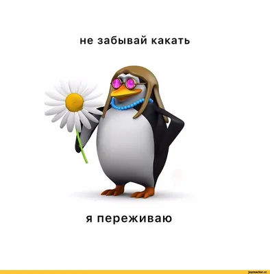 пингвин / смешные картинки и другие приколы: комиксы, гиф анимация, видео,  лучший интеллектуальный юмор.