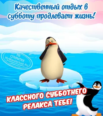 пингвин / смешные картинки и другие приколы: комиксы, гиф анимация, видео,  лучший интеллектуальный юмор.