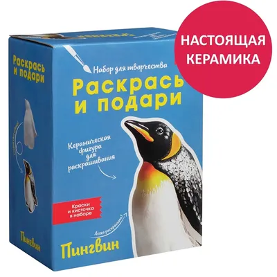 Предложение лапки и сердца у пингвинов | Зверюшки | Дзен