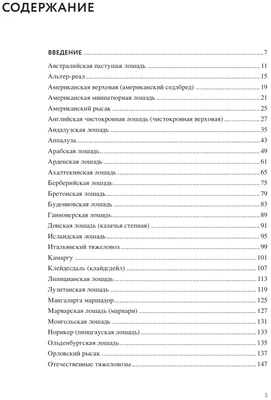 Пинцгауская лошадь: Новый уровень элегантности