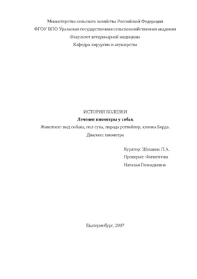 Эндометрит у собак: симптомы и лечение – от ветеринара