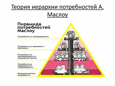 Пирамида потребностей Маслоу: главные принципы и структура | Forbes Life