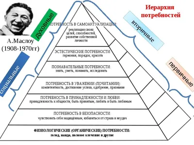 Анри-Фарм сеть аптек - Пирамида потребностей Маслоу Эта иллюстрация  иерархии потребностей настолько популярна, что сегодня наверное каждый из  нас хотя бы однажды видел такую \"пирамиду\", наглядно иллюстрирующую ступени  мотивации человека. Американский ...