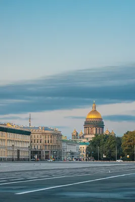 Питер Пэн. 100 Лучших книг - Стрекоза