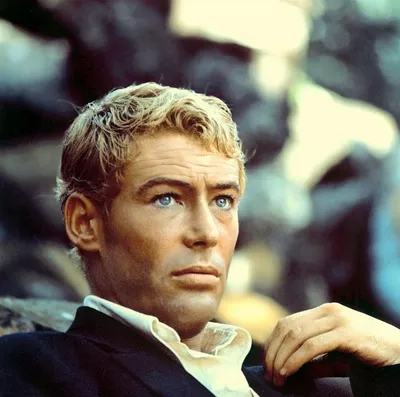 Питер О'Тул (Peter O'Toole, Peter Seamus O'Toole) - актёр - фотографии -  европейские актёры - Кино-Театр.Ру