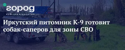 Александр Казаков и Лариса Егорова посетили питомник «К-9» в Иркутске