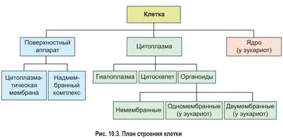 Как написать план сочинения - рекомендации по составлению