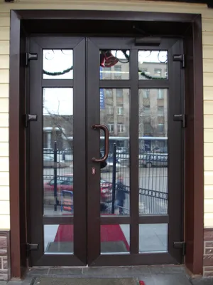 Пластиковая дверь ПВХ купить в Вологде | Заказать пластиковую дверь с  установкой от Фэнстер