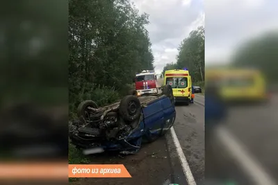 Фото платья раздора в нежных оттенках
