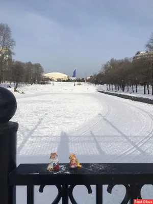 Юность на коньках и с клюшкой | Школа хоккея Амур