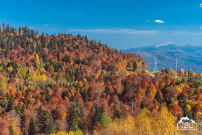 Плато лаго наки: фото с рекой