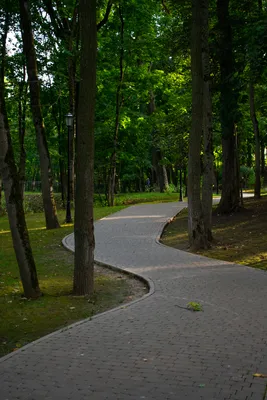 Тула. Платоновский парк. | Тула. Платоновский парк. Привокза… | Flickr