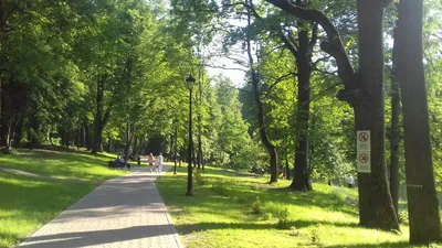 Парк «Платоновский лес» г. Тула
