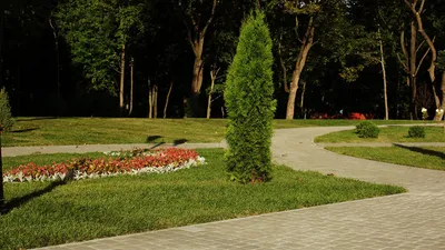 Панфилов пригласил туляков в обновленный Платоновский парк | 13.10.2016 |  Тула - БезФормата