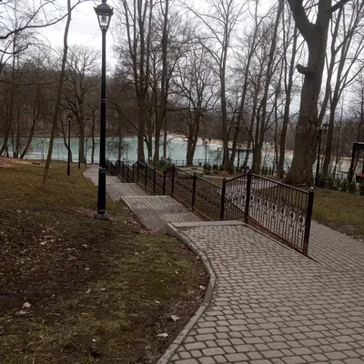 Зачем в Платоновском парке спустили пруд? - Новости Тулы и области -  MySlo.ru