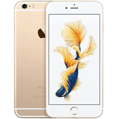 Качественные изображения плат iPhone 6 для вашей научной работы