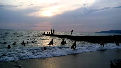 Пляж «Альбатрос», Нов. Сочи, Пляжи — Отдых на Море Онлайн 2019