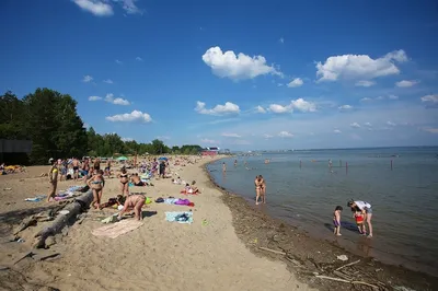 Парк отдыха Звезда, беседки с мангалами в Новосибирске официальный сайт|  Аренда беседок, домиков и мангалами, пляж Звезда, парк отдыха Звезда,  беседки с мангалами на берегу