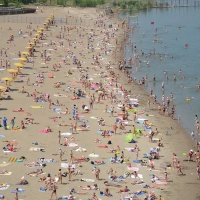 В МЧС огласили список разрешённых для купания пляжей в Новосибирской  области | Ведомости законодательного собрания НСО