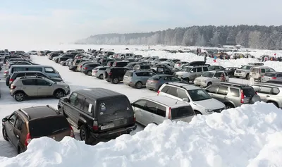 12 лучших пляжей Новосибирска и Бердска. Места для купания и самые опасные  водоемы - Куда сходить с ребенком