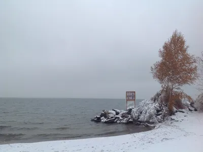 Отзыв о Летний кемпинг \"Парк у моря\" (Россия, Новосибирск) | Для любителей  шумного отдыха на природе