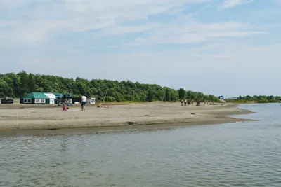 Трое в воде, не считая собаки. В Барнауле официально открыли городской пляж