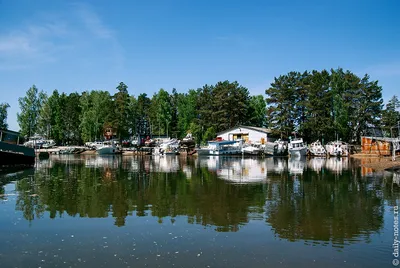 Центральный пляж, пляж, Морской просп., 64/2, Советский район, микрорайон  Академгородок, Новосибирск — Яндекс Карты