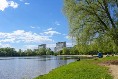 Подборка аквапарков, бассейнов и пляжей Москвы для комфортного отдыха