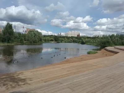 Карта пляжей в Москве, на которых можно смело заходить в воду и не бояться  за свое здоровье: где можно купаться в Москве, Серебряный бор, можно ли  заходить в воду в Зеленограде, что