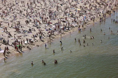 Пробы воды с шести новосибирских пляжей не соответствуют нормам |  03.08.2023 | Новосибирск - БезФормата