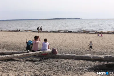 Обское море: где находится, отдых, базы, пляж, фото, на карте, Новосибирск