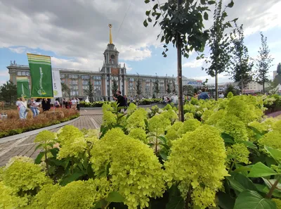 В Екатеринбурге открылся главный ледовый городок на площади 1905 года –  Коммерсантъ Екатеринбург