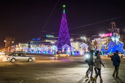 Главная площадь Екатеринбурга превратилась в райский сад. Посетил его и  делюсь фото | УРАЛОВЕД | Дзен