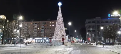 Новогодние елки установлены на площадях Горького и Советской в Нижнем  Новгороде | Информационное агентство «Время Н»