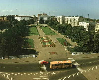 Светящиеся елки и качели установили на площади Горького в Нижнем Новгороде  | Информационное агентство «Время Н»