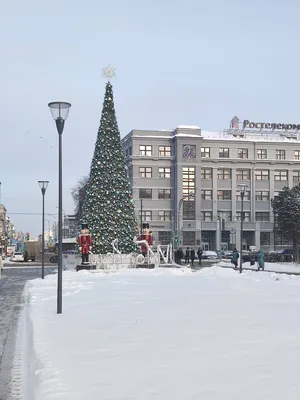 Отзыв о Площадь Горького (Россия, Нижний Новгород) | Зелёный островок в  центре города.