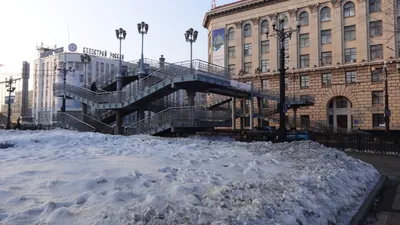 Площадь Ленина в Хабаровске начали украшать к Новому году - KP.RU