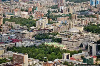 Перед Новым годом в Новосибирске улицу Ленина сделают пешеходной