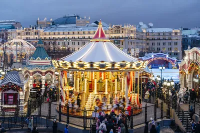 Не только погладить нос собаке: все 12 примет станции метро «Площадь  революции» - Москвич Mag - 16.07.2021