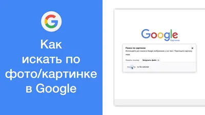 Поиск по картинке гугл. Google image фотографу