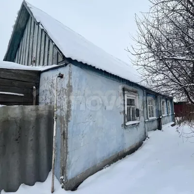 Почеп задыхается, Судость отравлена, но брянская прокуратура снова лишь  пожурила завод \"Почеп-Молоко\" - Брянский ворчун