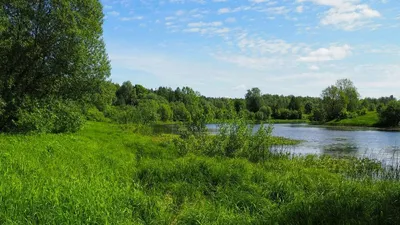 Продам Производственное здание в городе Починок по адресу Лкнина, 2 за  35000000 рублей. Объявление №2836263615536