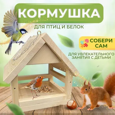 Кормушка для птиц своими руками: оригинальные идеи - Бобёр.ру