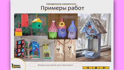 Пять необычных идей для создания кормушки для птиц