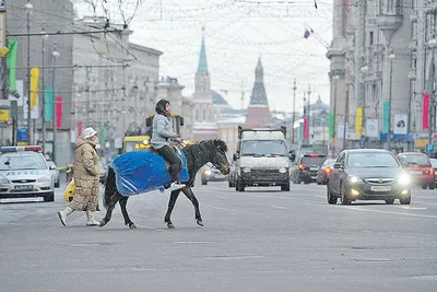 Можно ли честно продать БУ авто в Москве? | Пикабу